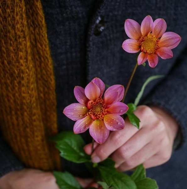 Отчаянный стрелок