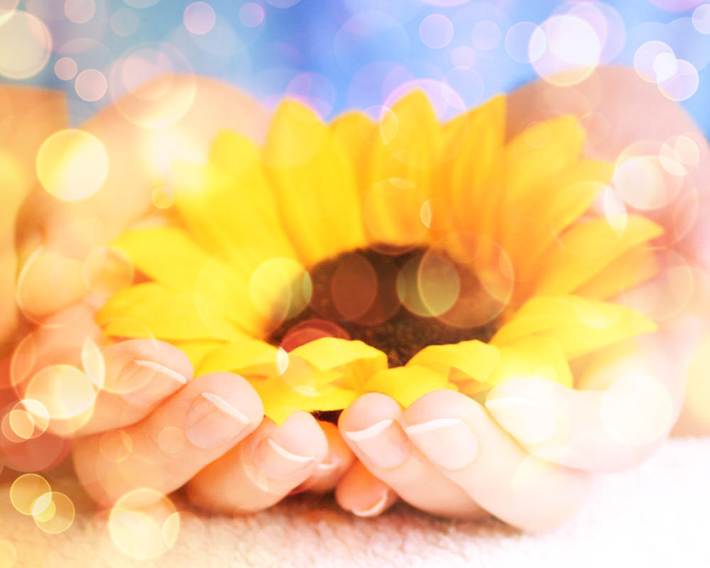 Этой жизни свет