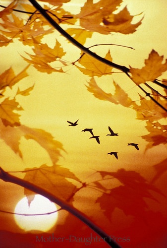 Мне пишет август - триптих