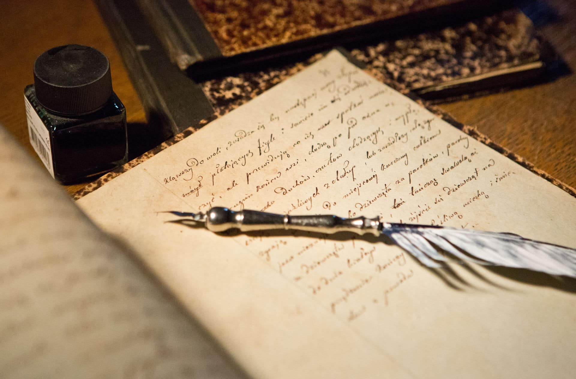 Ночь безлунна исписанный ручкой сделал намеренно. Перо для письма. Перо письменное. Перо писателя. Рукопись и перо.