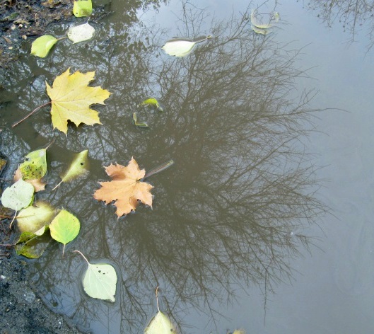 Осенний вальс