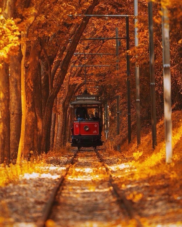 Осенний Трамвай Фото