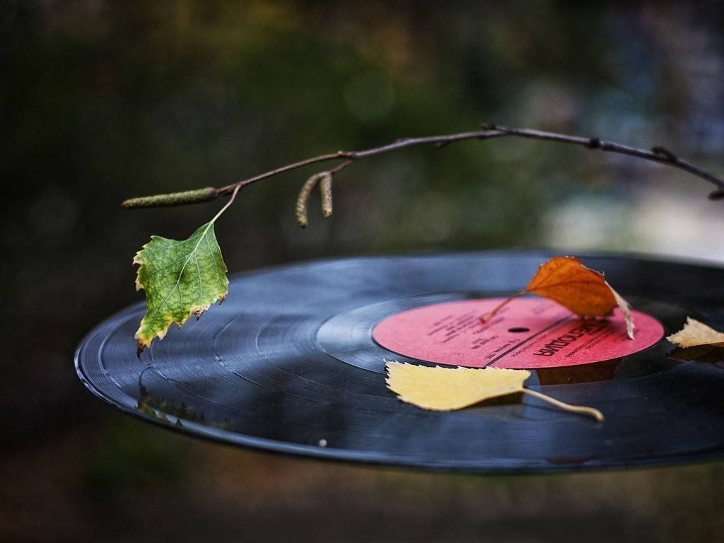 Мелодию осень играет