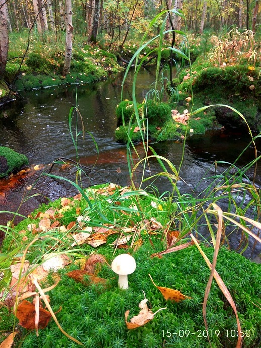 Азъ есмь - любовь... - вдруг сердцем слышишь