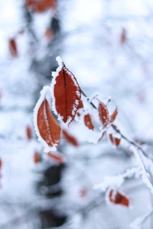 Тридцатого, где-то в восемь