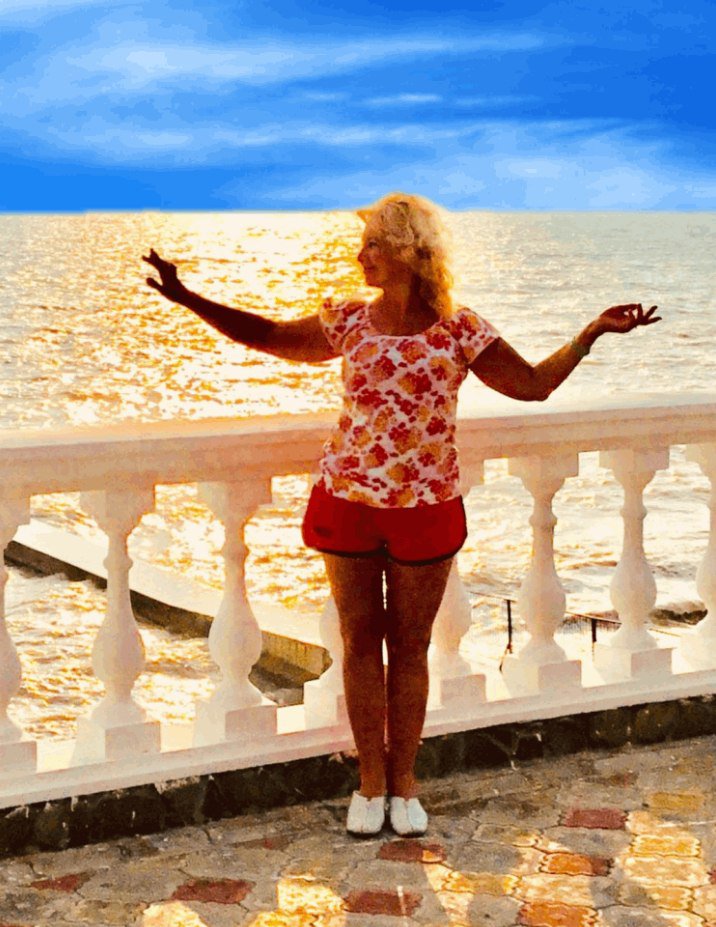 Чайка. Посвящение С. Т. 2602