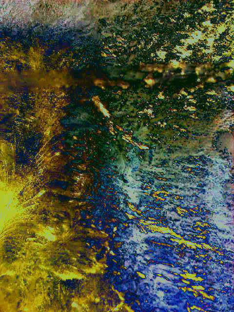 Разбежались в тумане деревья