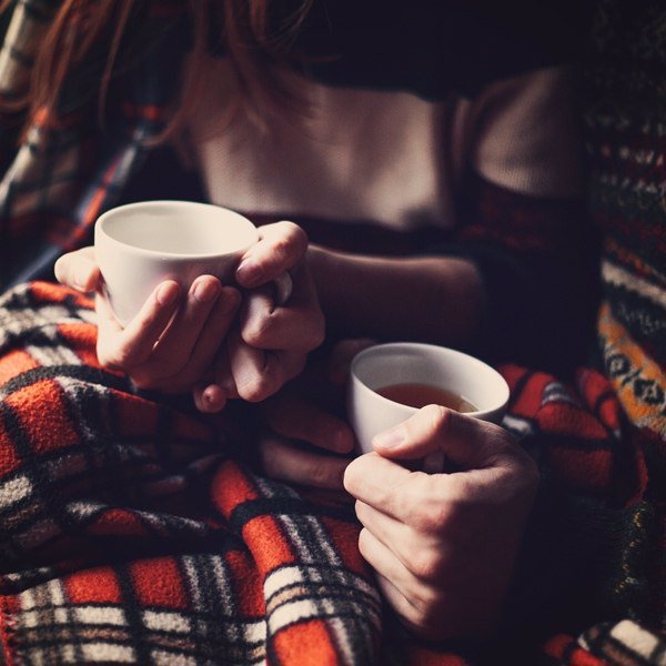 Твой Айболит