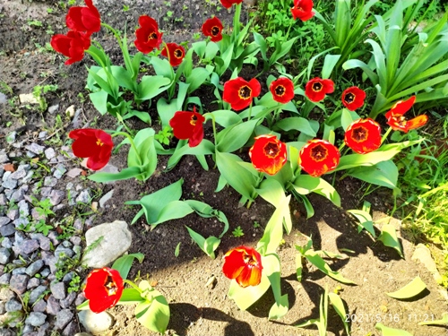 Поздравлю сегодня подругу из детства