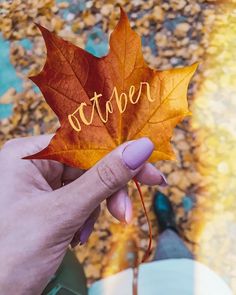 Алексу Литвинову в день рождения