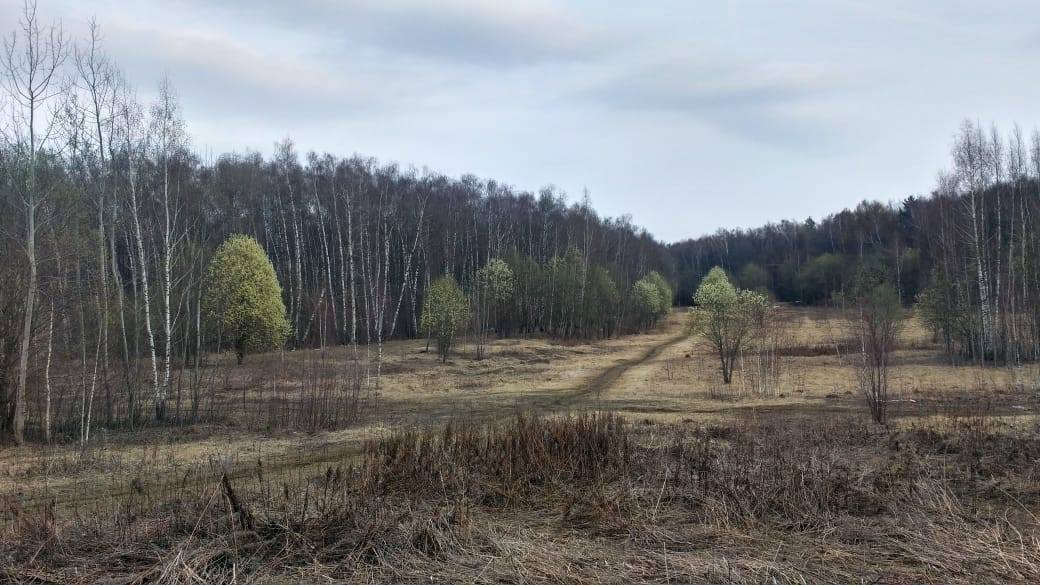 Русская печать