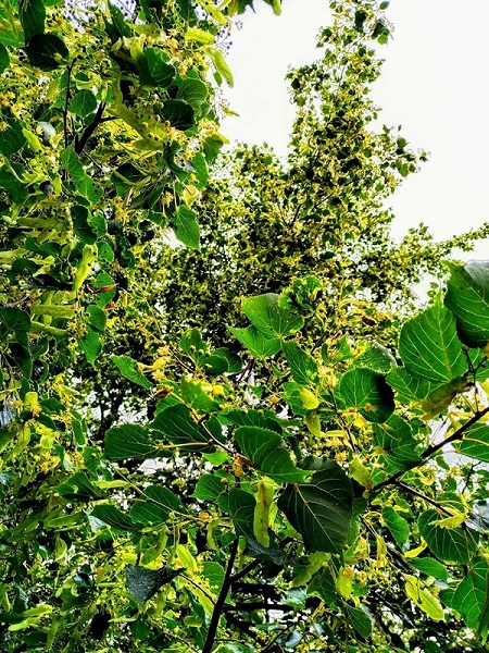 Была ли смерть Христа напрасна?