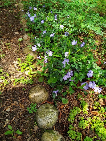 Они кричали, себя не помня, до хрипоты
