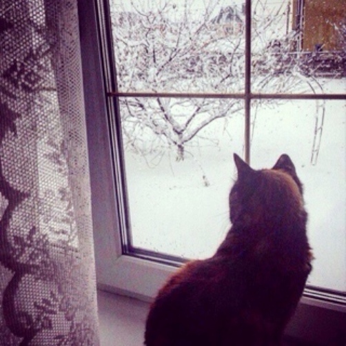 Депрессия совсем под стать погоде...