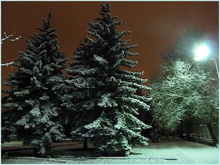 Одиночество в ночи