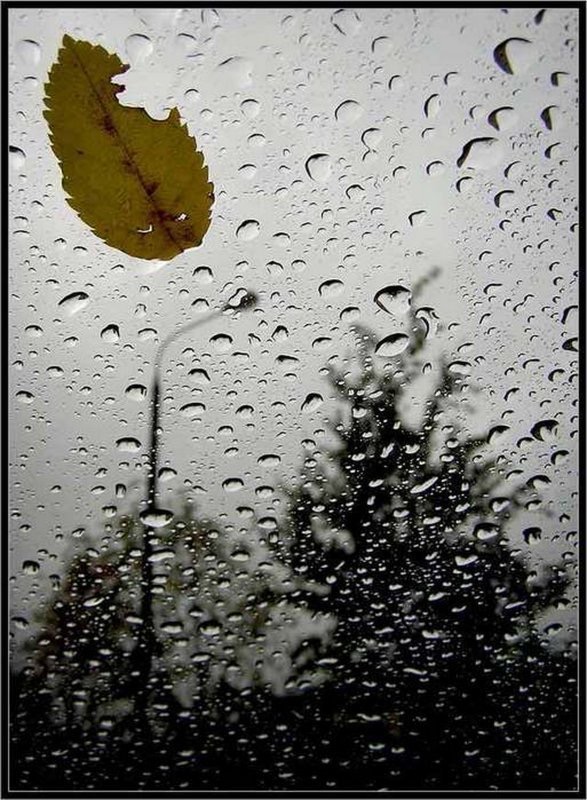 Капля грусти. Осень дождь. Капли на стекле осень. Капли осеннего дождя на стекле. Осень дождь стекло.