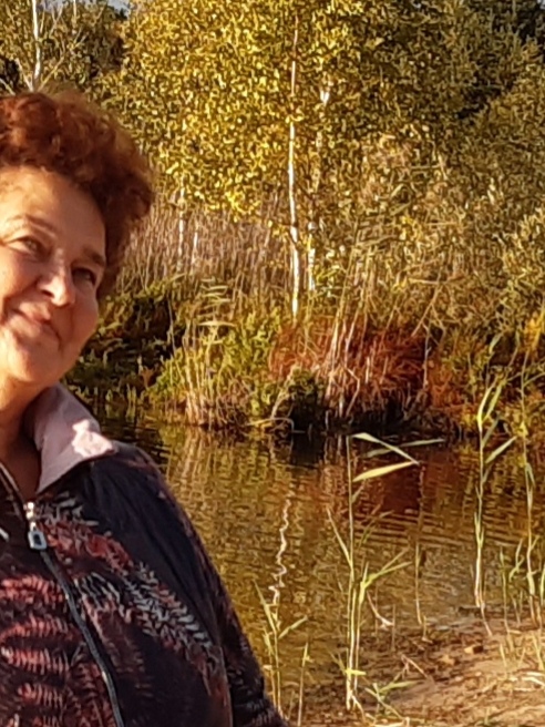 Отшумели рощи