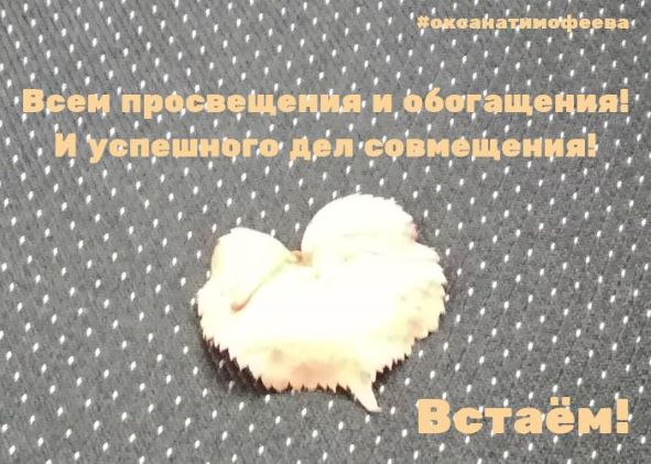 Порцией знаний себя оснащаем