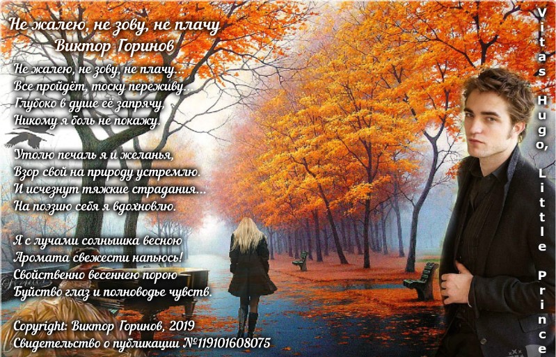 Есенин стихи не жалею не зову. Не жалею, не зову, не плачу. Не жалею, не зову, не плачу. Стихотворение есенина не жалею не зову не плачу. Есенин яблони.