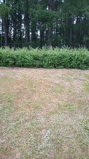 Проходит все...