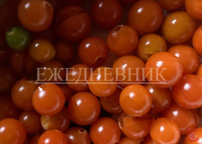 Судьбу свою приватизируем