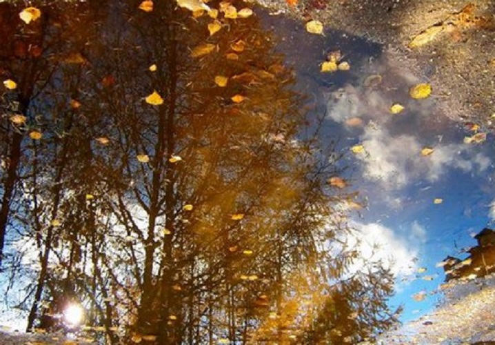 Просит очень и зовёт!