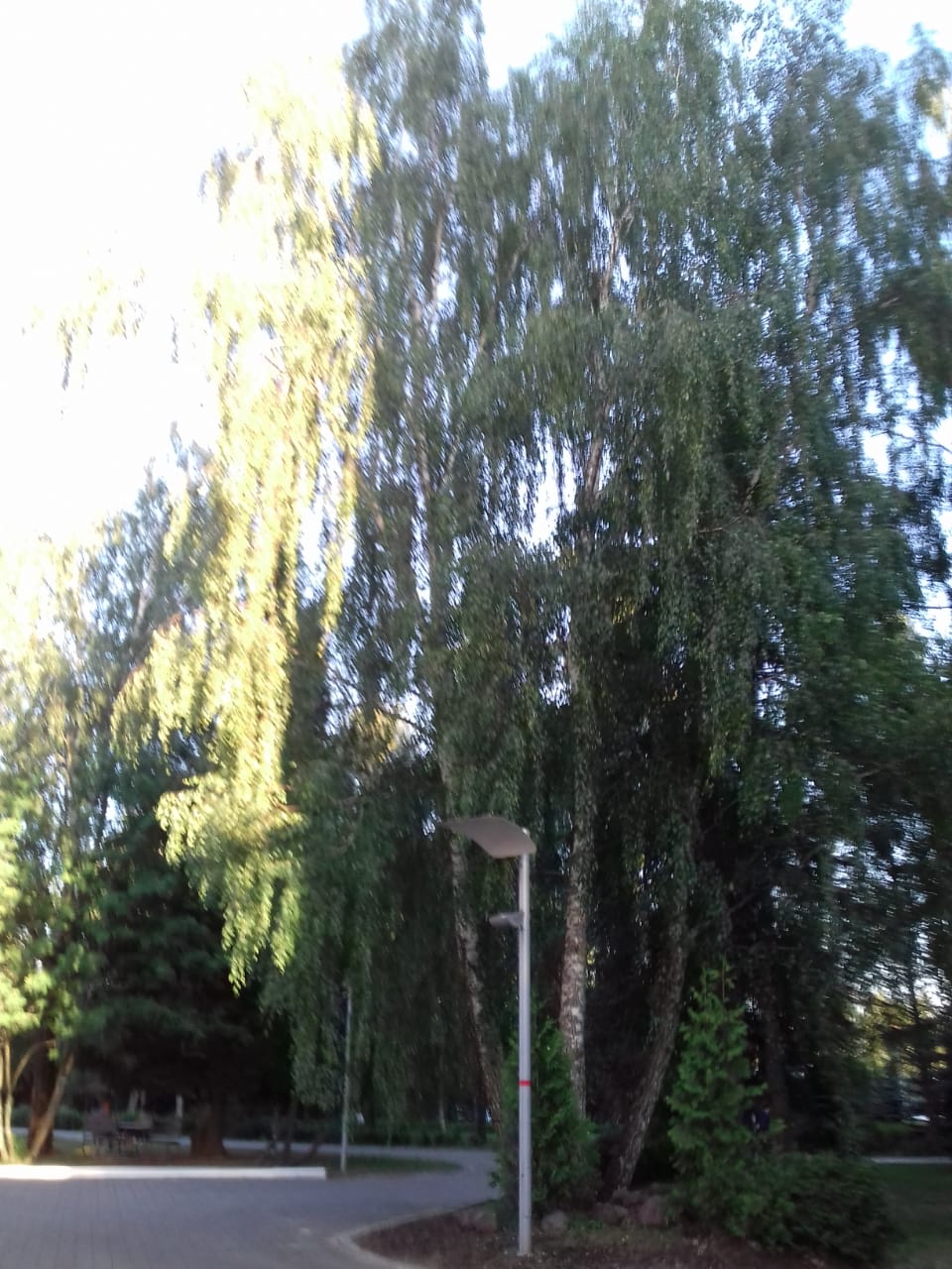 Орать - значит пахать (Екатерина Синесгерева) / Стихи.ру