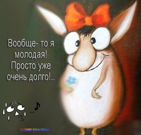 Конкурс Пародий Бонуфикс-10