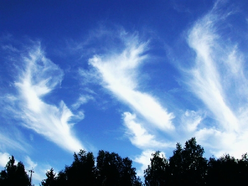 В белой вате земных облаков...