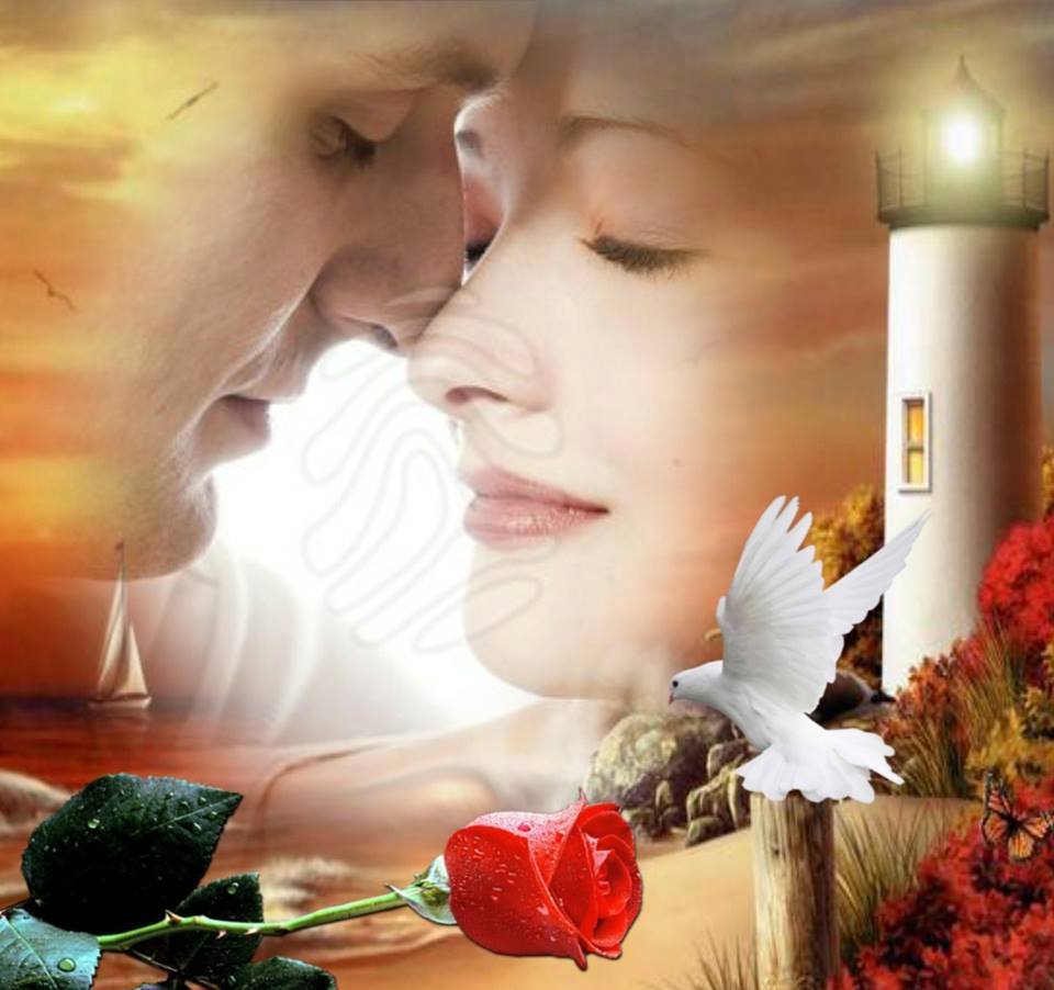 Не стреляйте в птиц...