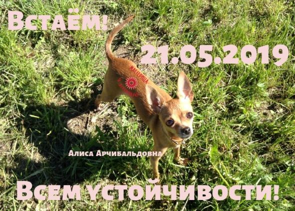 Стена