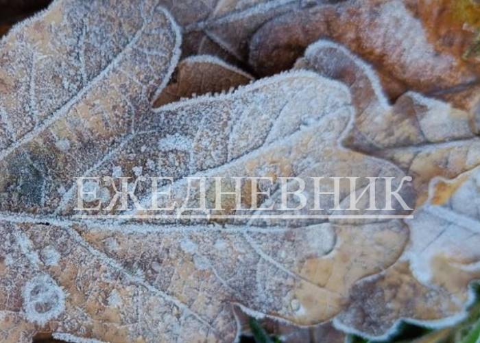 Новую книгу жизни увлекательно сшиваем