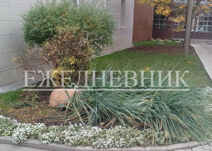 Удобными вещами быт оборудуем