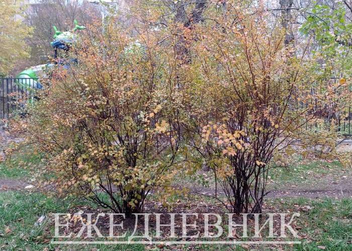 Обретение себя