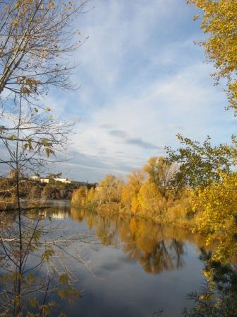 Окно в Осень