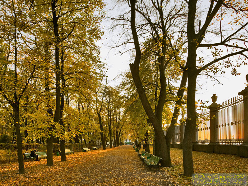 Летний сад осенью в санкт петербурге