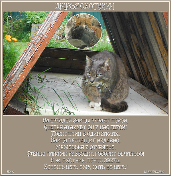 Друзья охотники