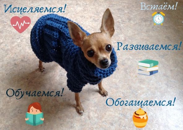 Разминка