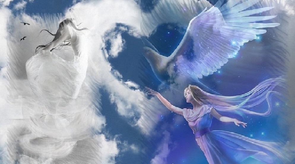 Просто хотела быть счастливой картинки с птицей