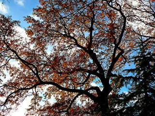 Поздняя осень