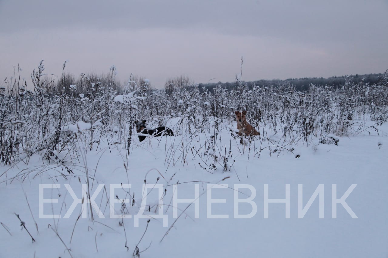 Обработка. За кадром