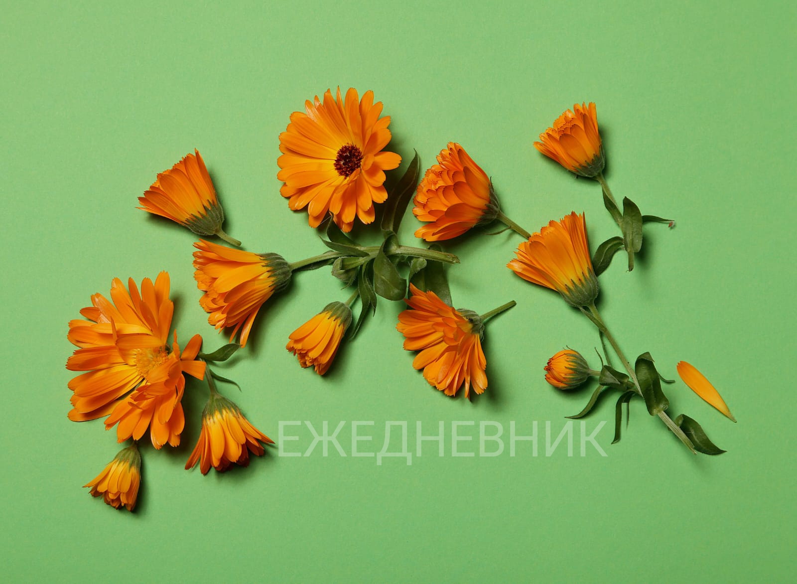 Рассуждения
