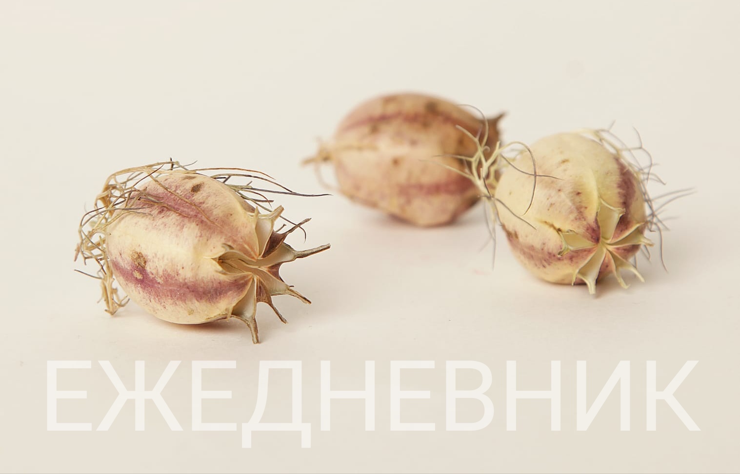 Важное для жизни своим трудом легко добываю