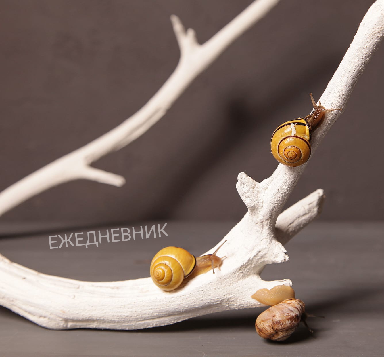 Правка