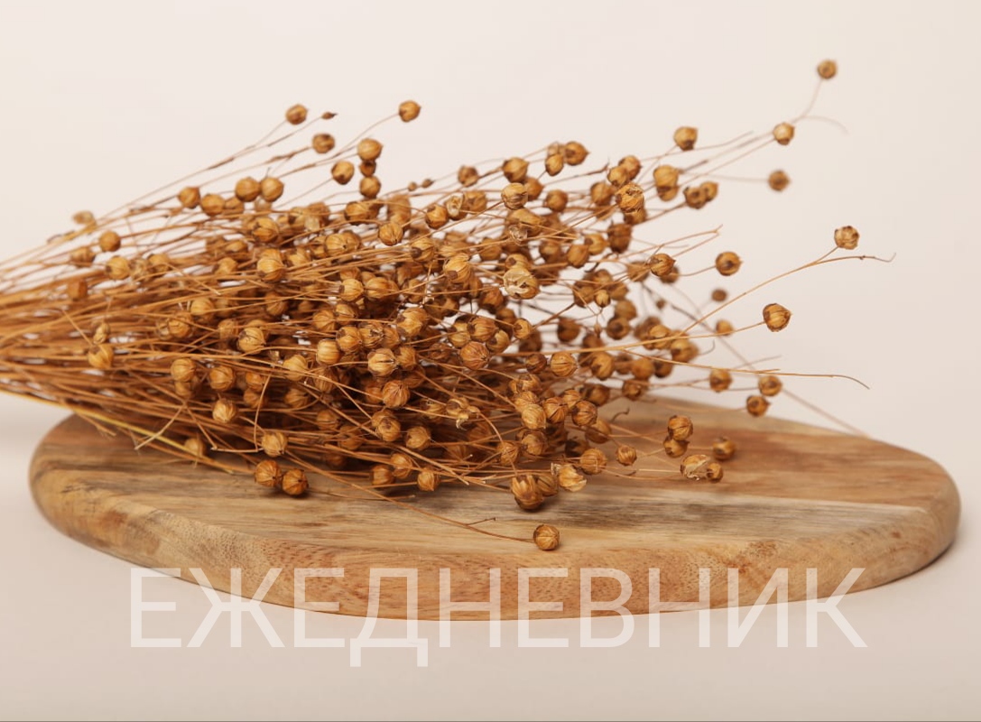 Демонстрация