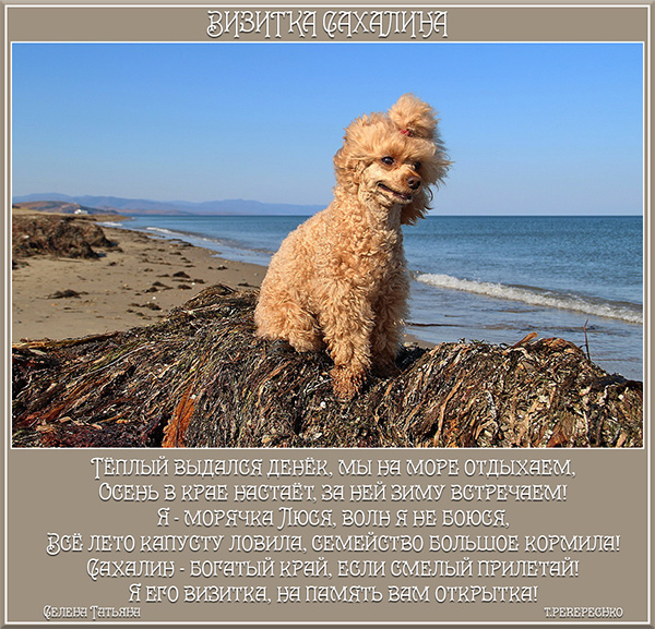 Визитка Сахалина