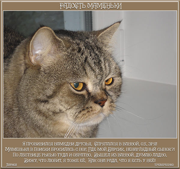 Радость маменьки