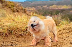 Подои меня слегка