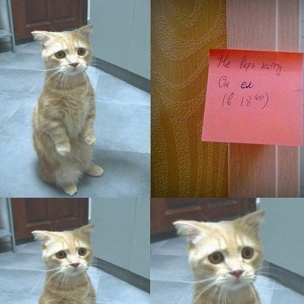 Талантище