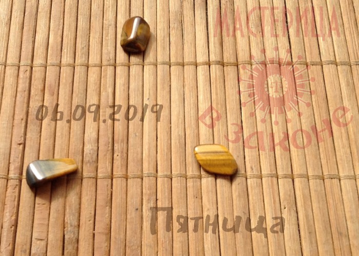 Я значимые мероприятия с пользой посещаю